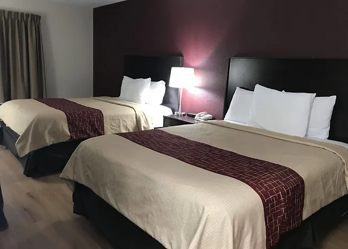 Hotel Econo Inn&suites Monee